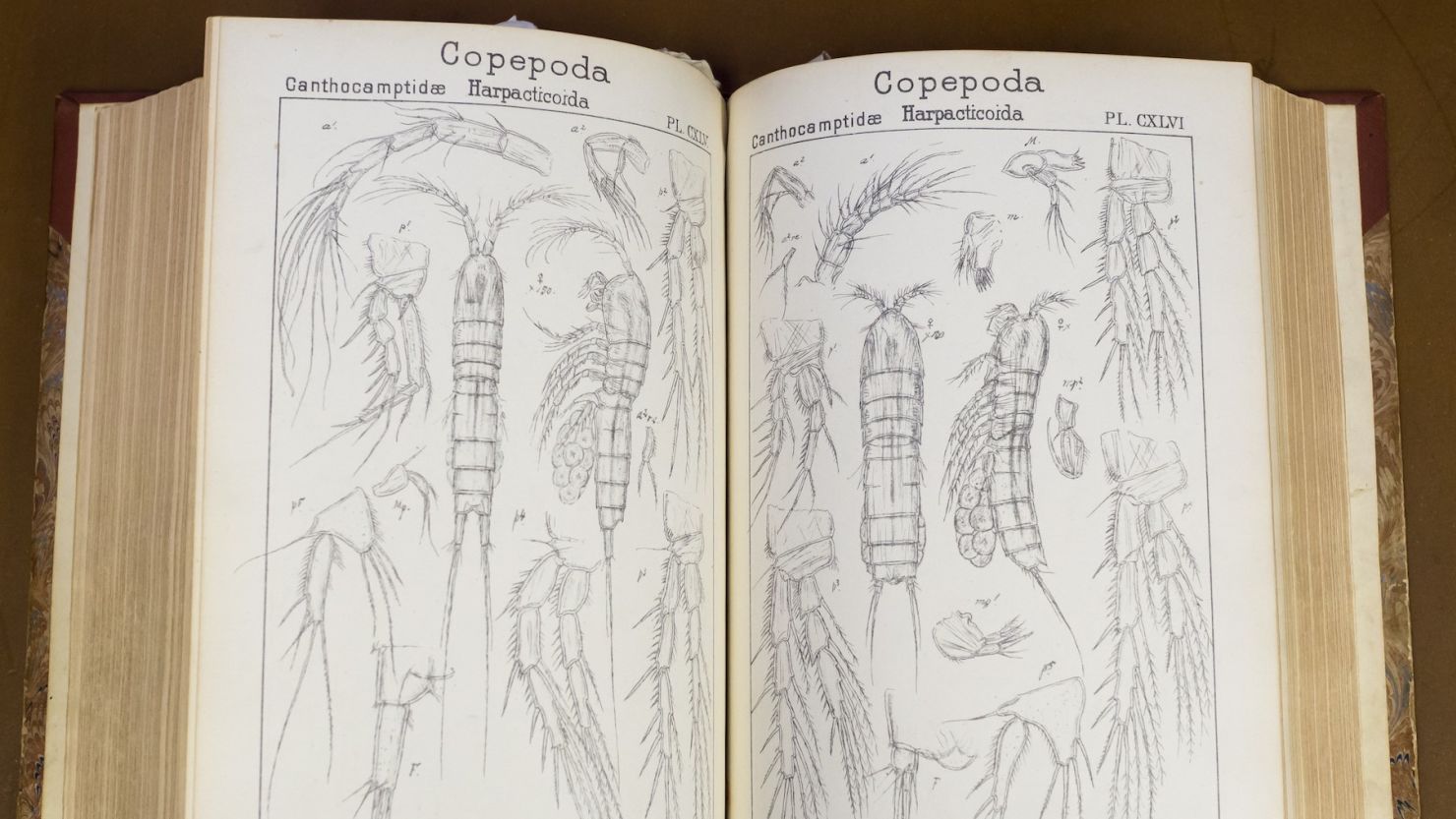 Historic document from the National Marine Biological Library