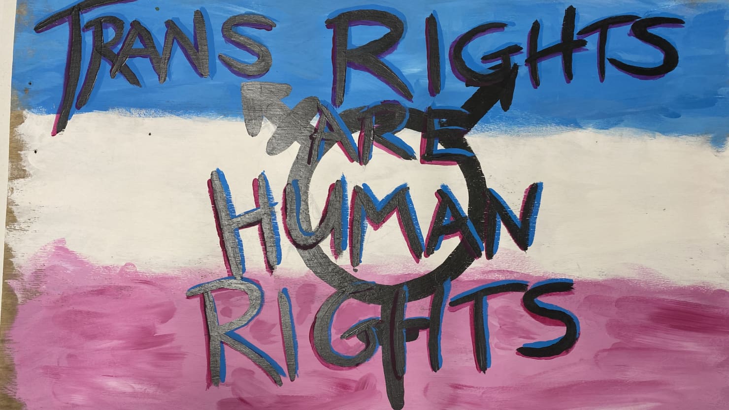 Photo of the pink, blue and white striped trans flag