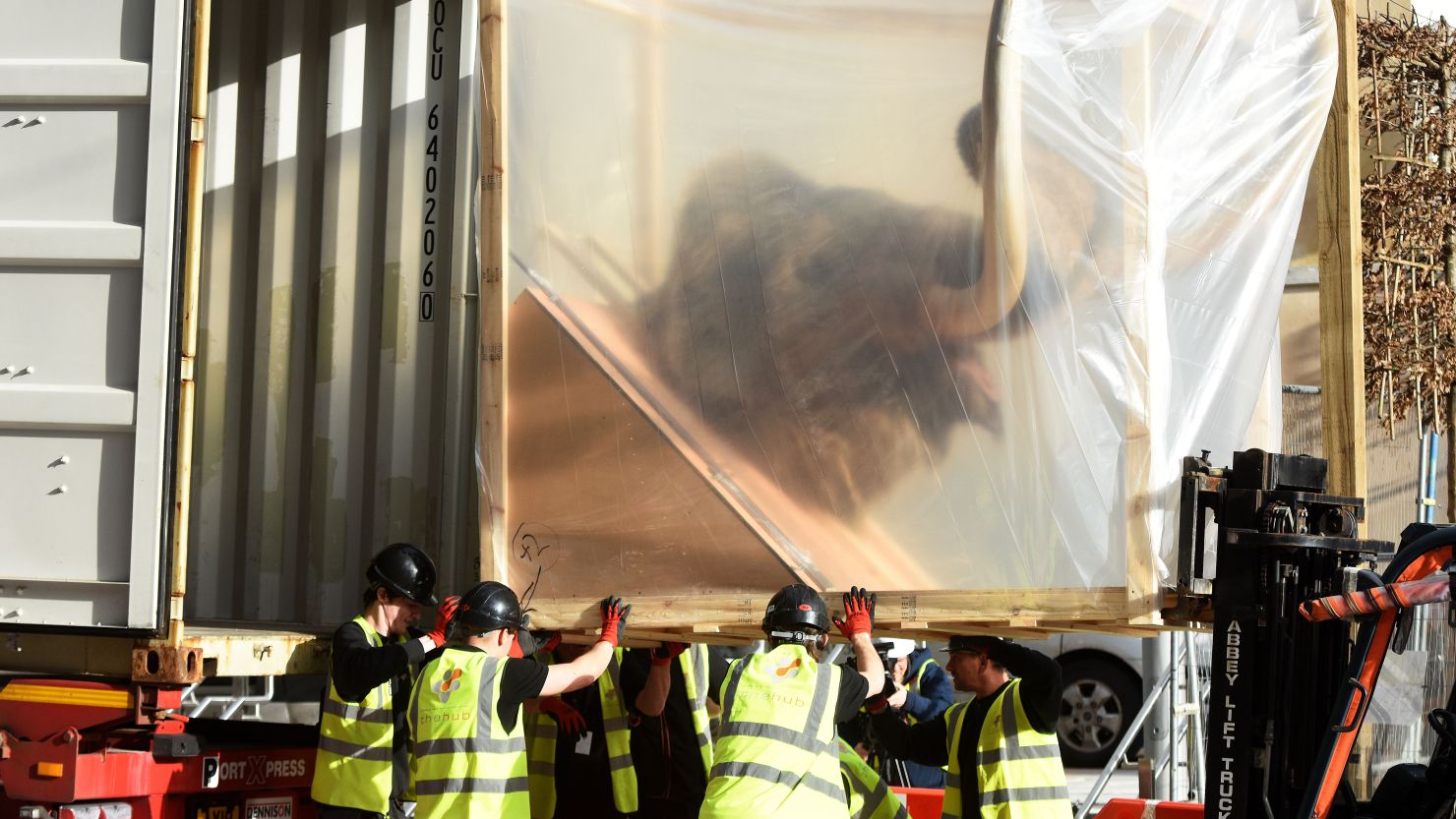 Group of workmen lifting a replica mammoth in its packaging off a lorry