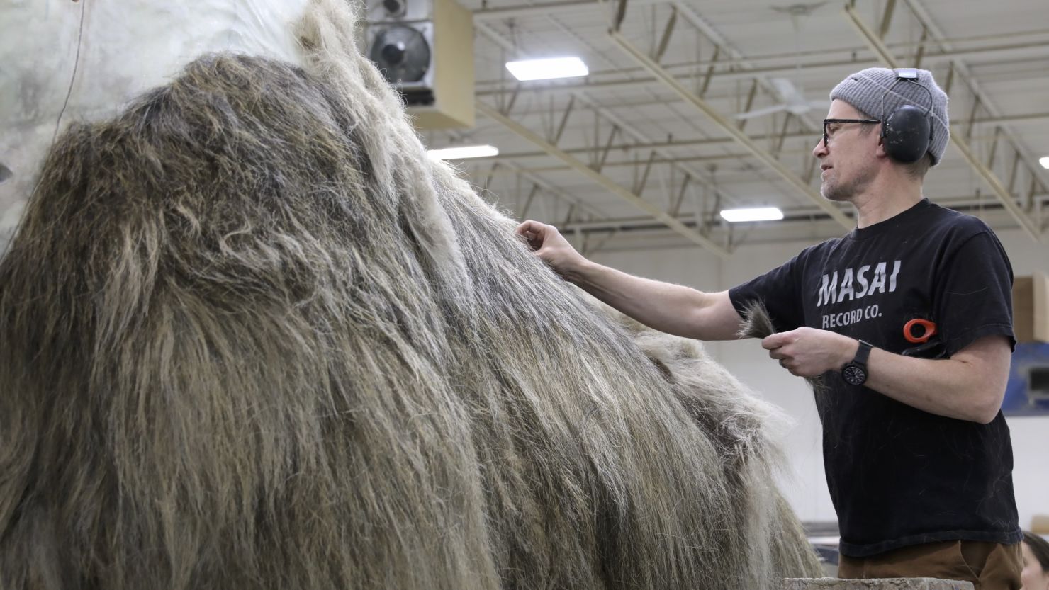 A man adding fur to a large-scale replica of a woolly mammoth