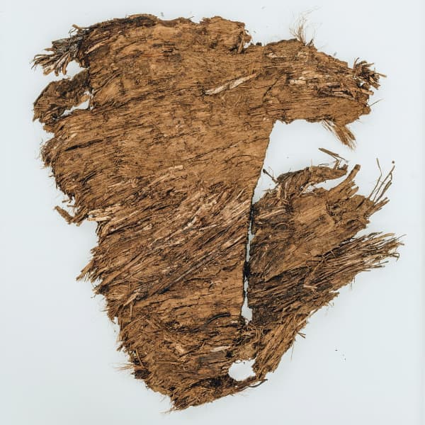 Matted plant material from Whitehorse Hill