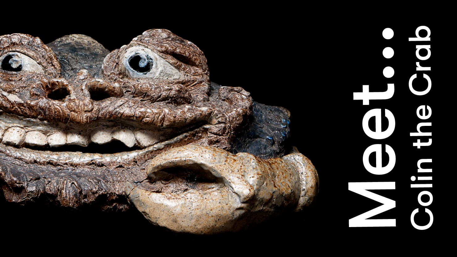 Meet….. Colin the Crab