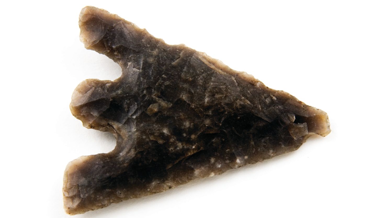 Prehistory: Image Bank