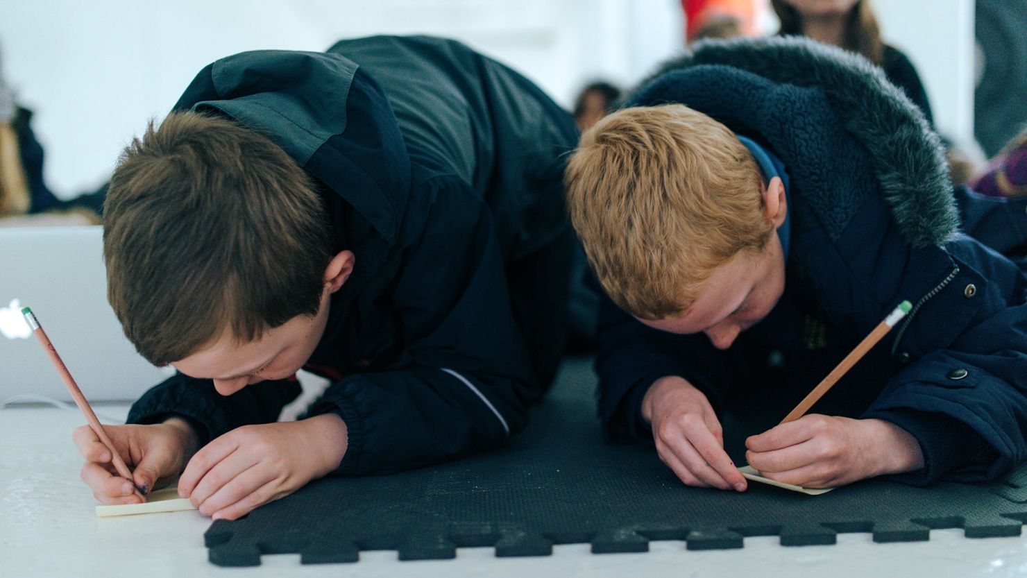 Education programme spans Prehistoric mammoths to the present day