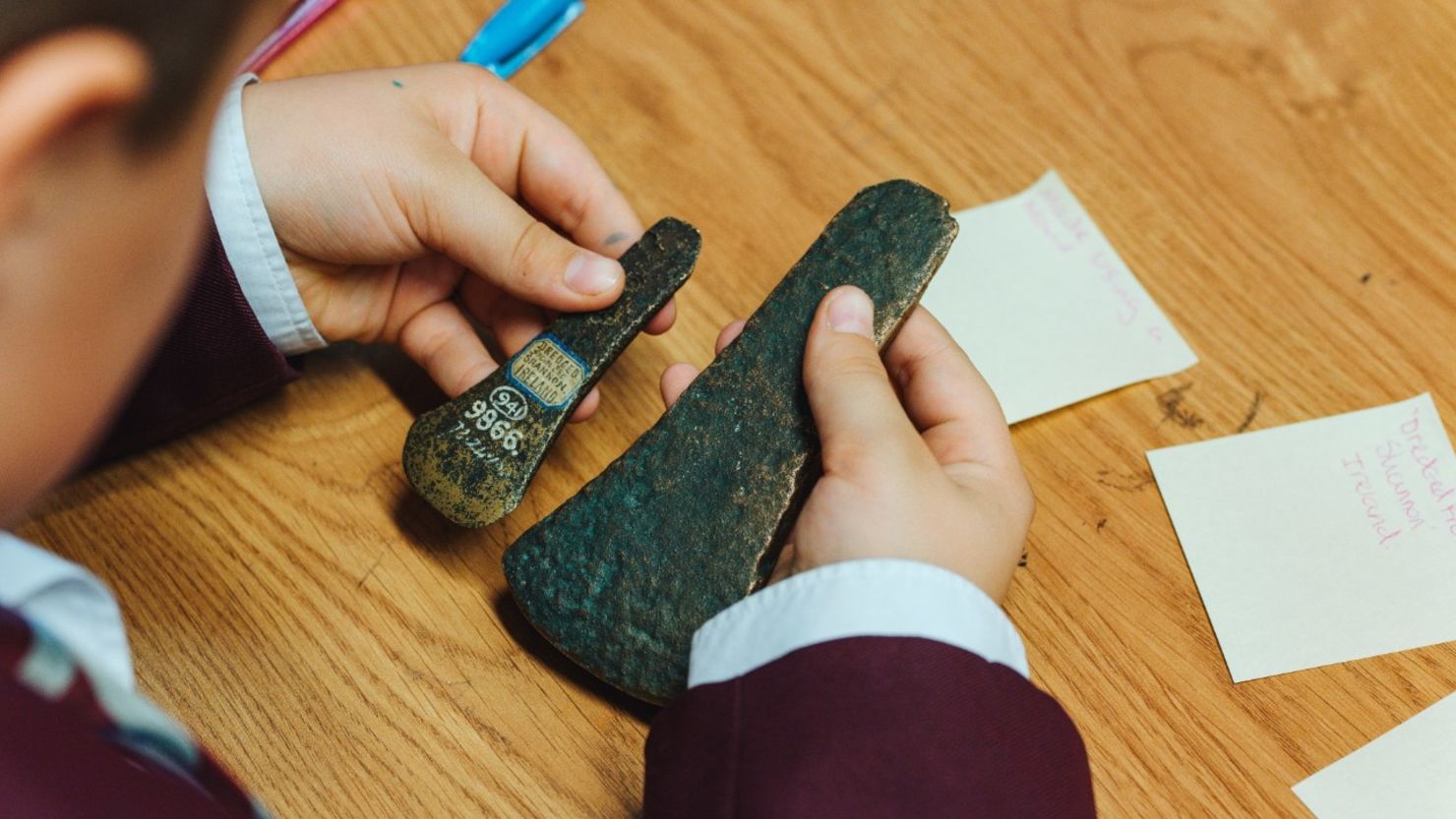 Prehistory: The Bronze Age at Whitehorse Hill