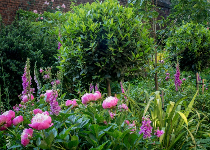 The Charterhouse gardens detail