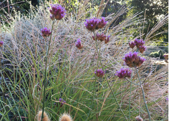 Autumn colour and calm in the gardens