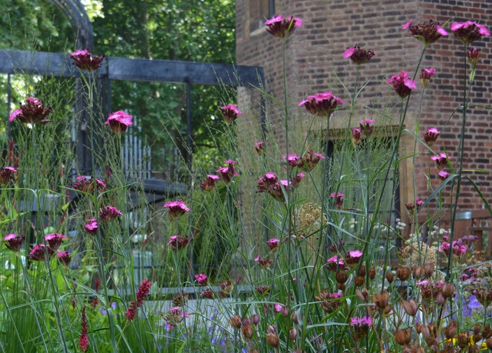 Bright pink flowers in the foreground with three sides of a pentagonal tower and metal railing and gateway visible behind.