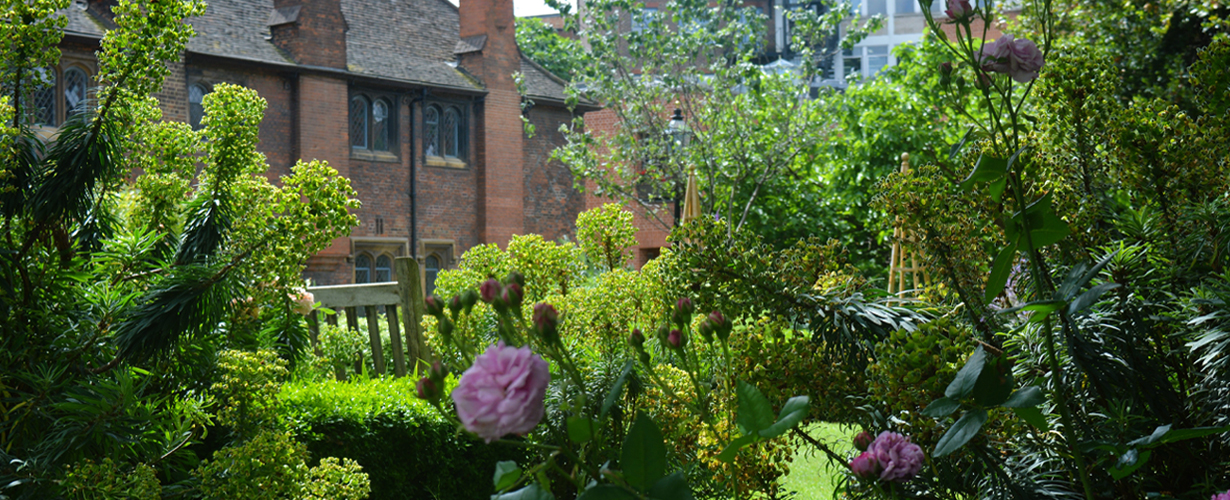 Summertime Garden Tours
