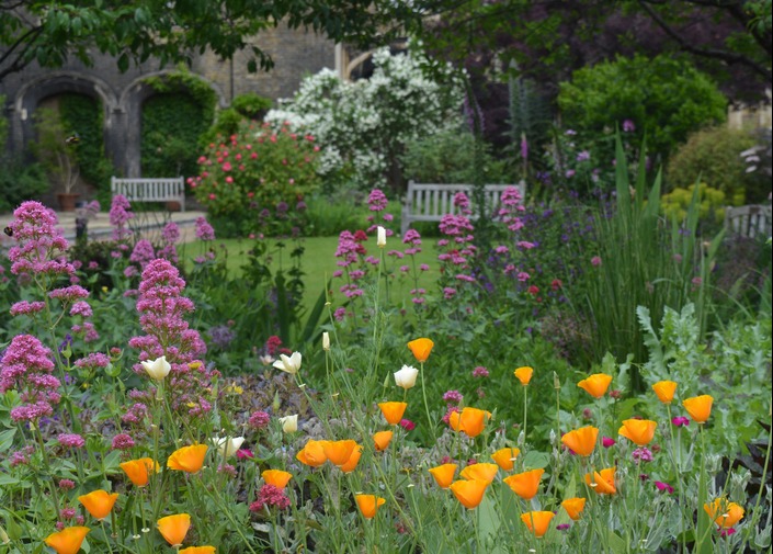A garden with orange and pink flowers in the foreground, with two wooden benches on a lawn and bricked in arcade covered in creeper in the background.