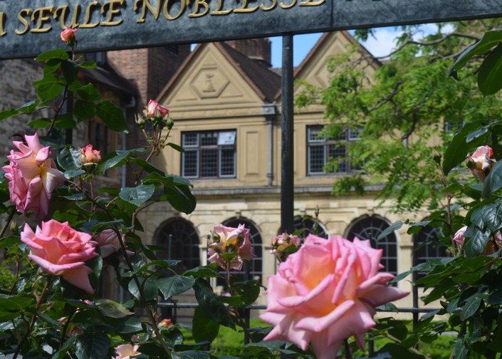 A historic building with arched windows and gabled roofing seen through mental railings across which an inscription in Latin is partly visible and with pink roses in the foreground.