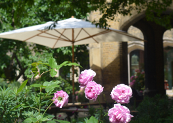 Shakespeare in the Square – The Taming of the Shrew