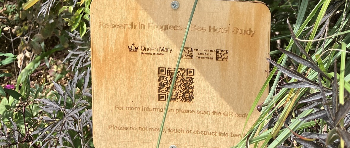 information panel with QR code for a bee hotel that is part of a research project