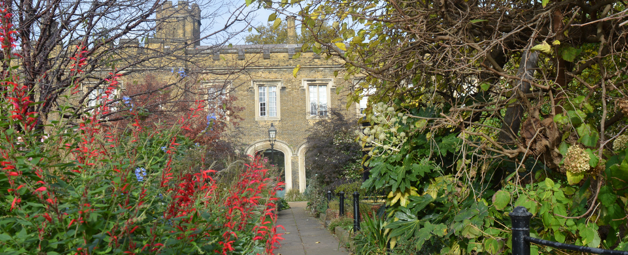 Autumn Garden Tour