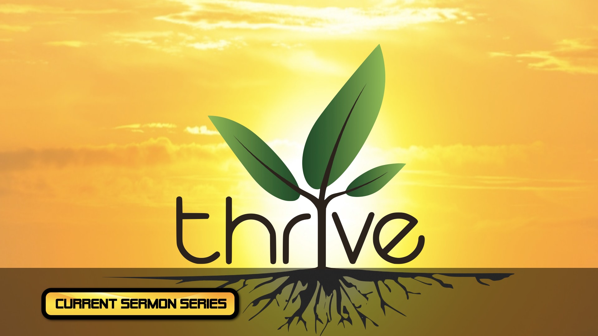 Hamersville Church of Christ