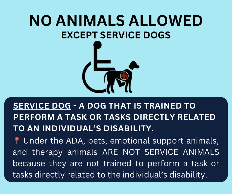 Misrepresenting a dog as a service animal is a criminal violation.