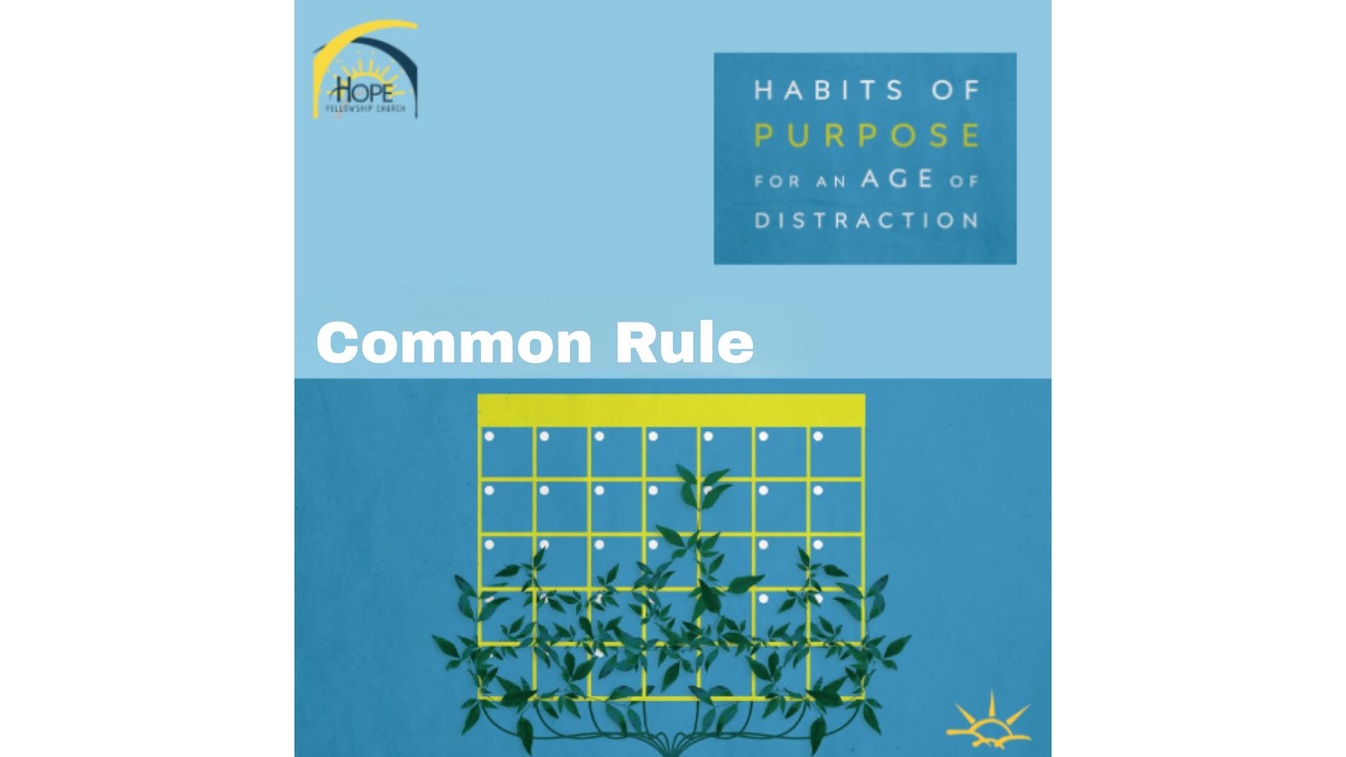 Common Rule Course
