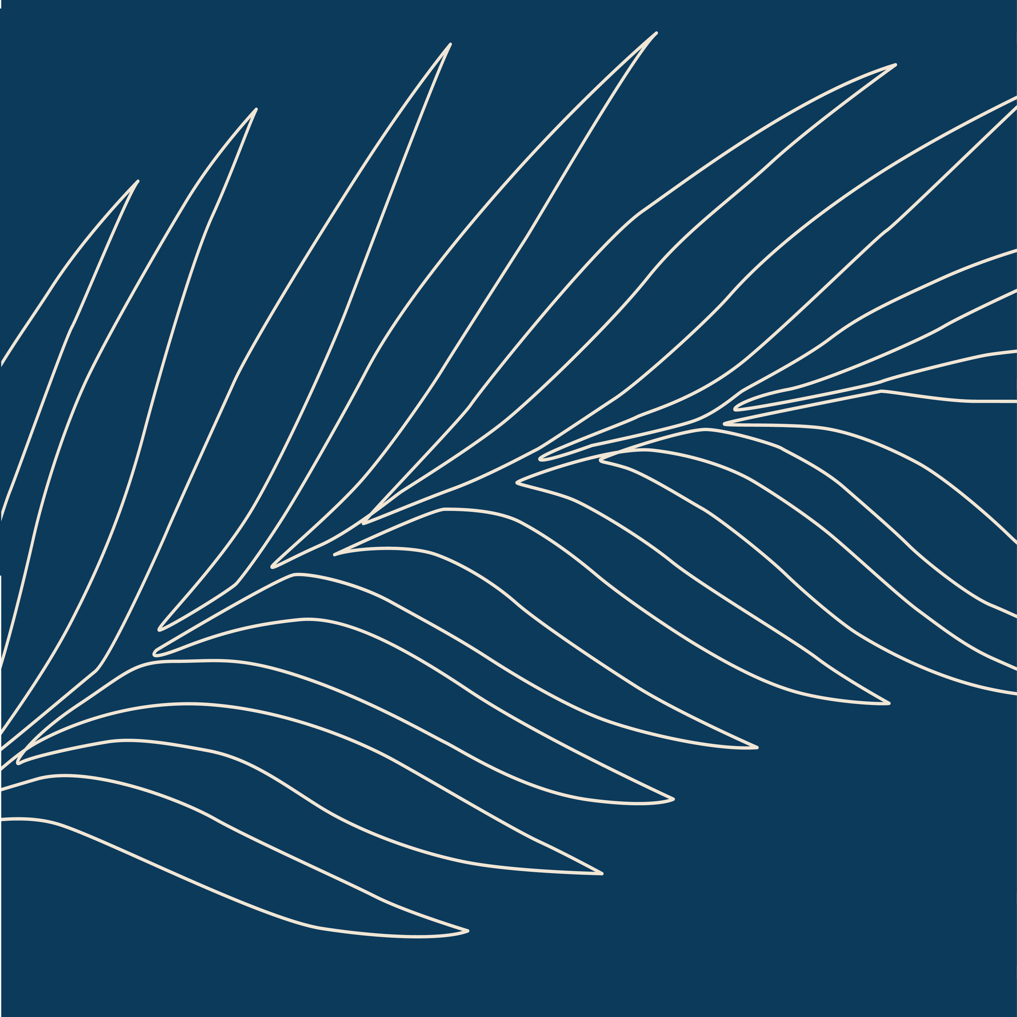 Palm Sunday | 04.02.23 | 10:45AM
