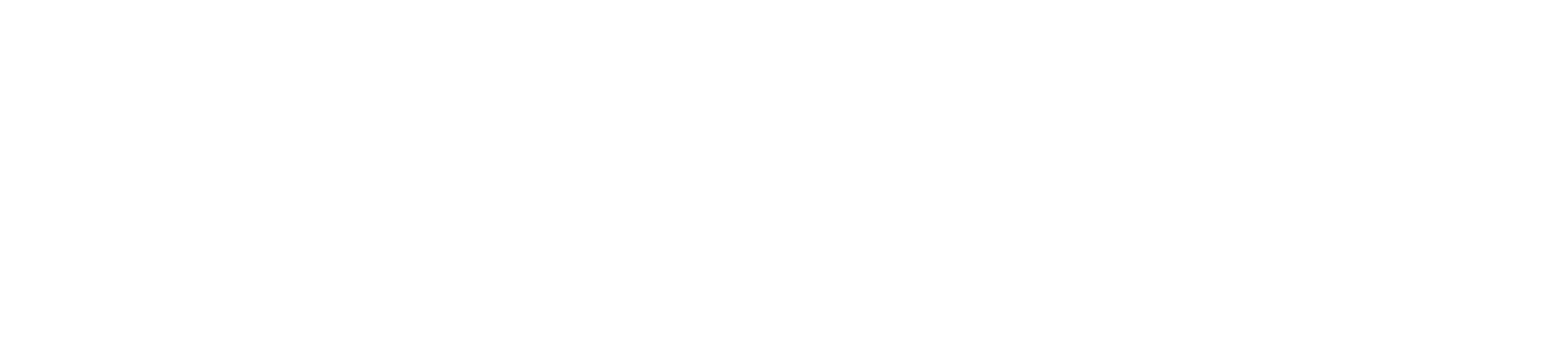 Main Logo