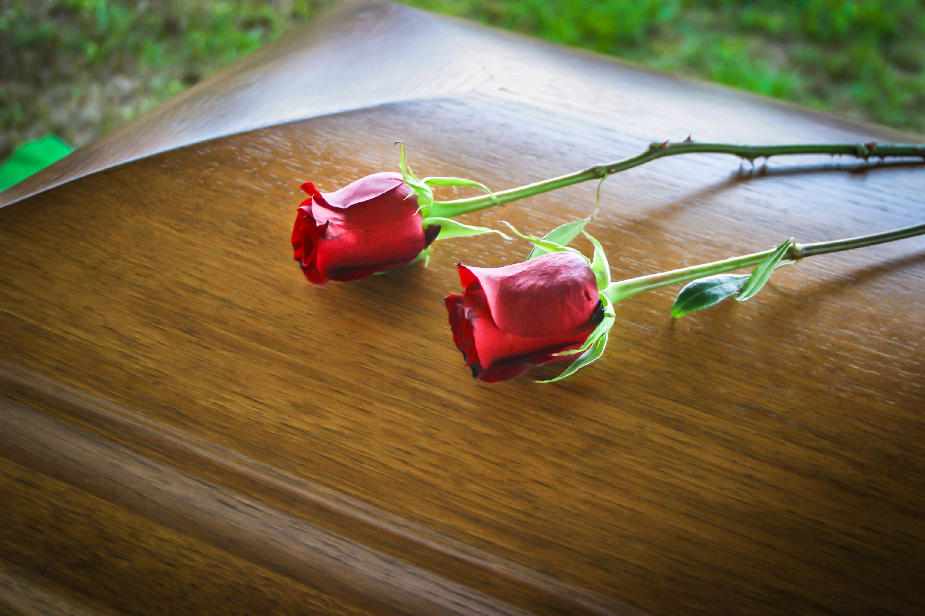 Featured Image