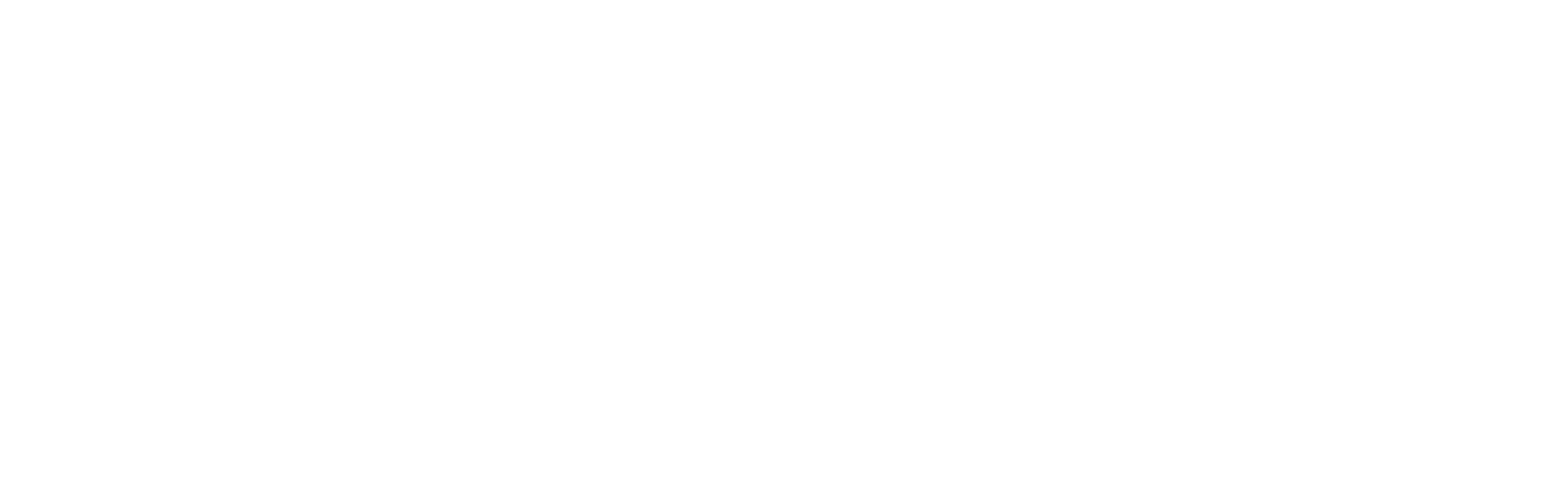 Main Logo