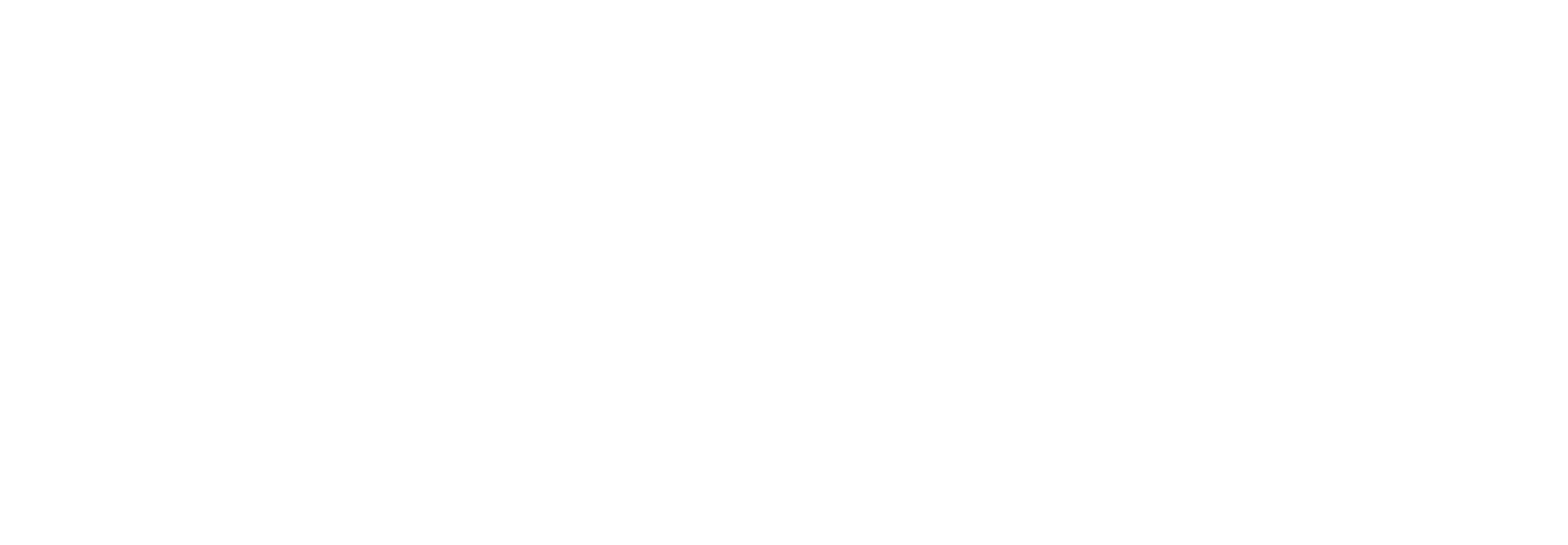 Main Logo