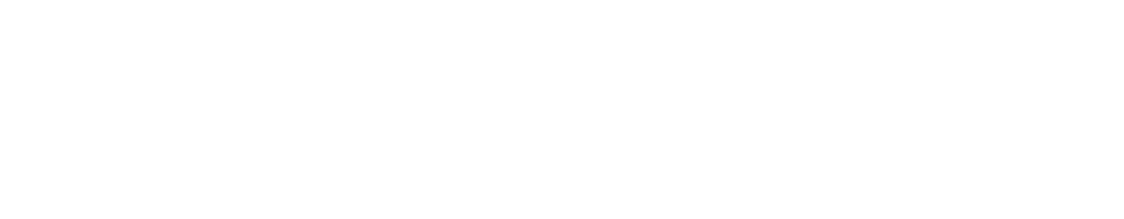 Main Logo