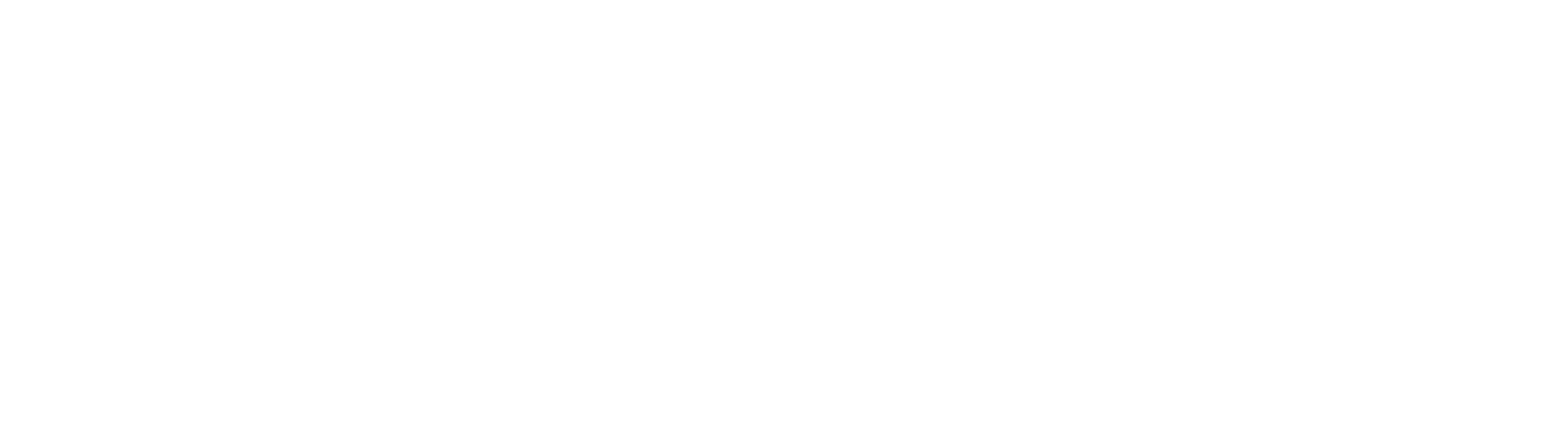 Main Logo