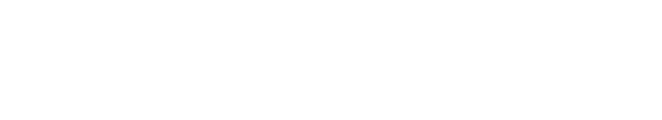 Main Logo
