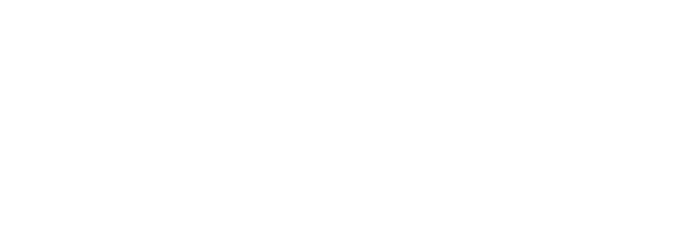 Main Logo