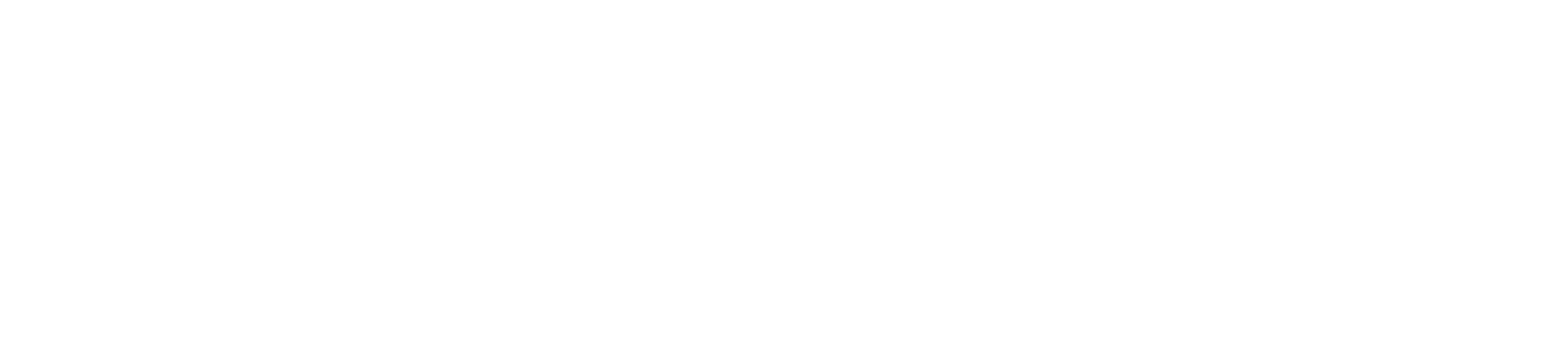 Main Logo
