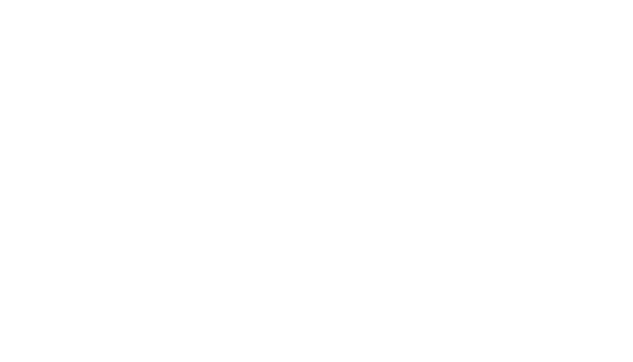 Main Logo