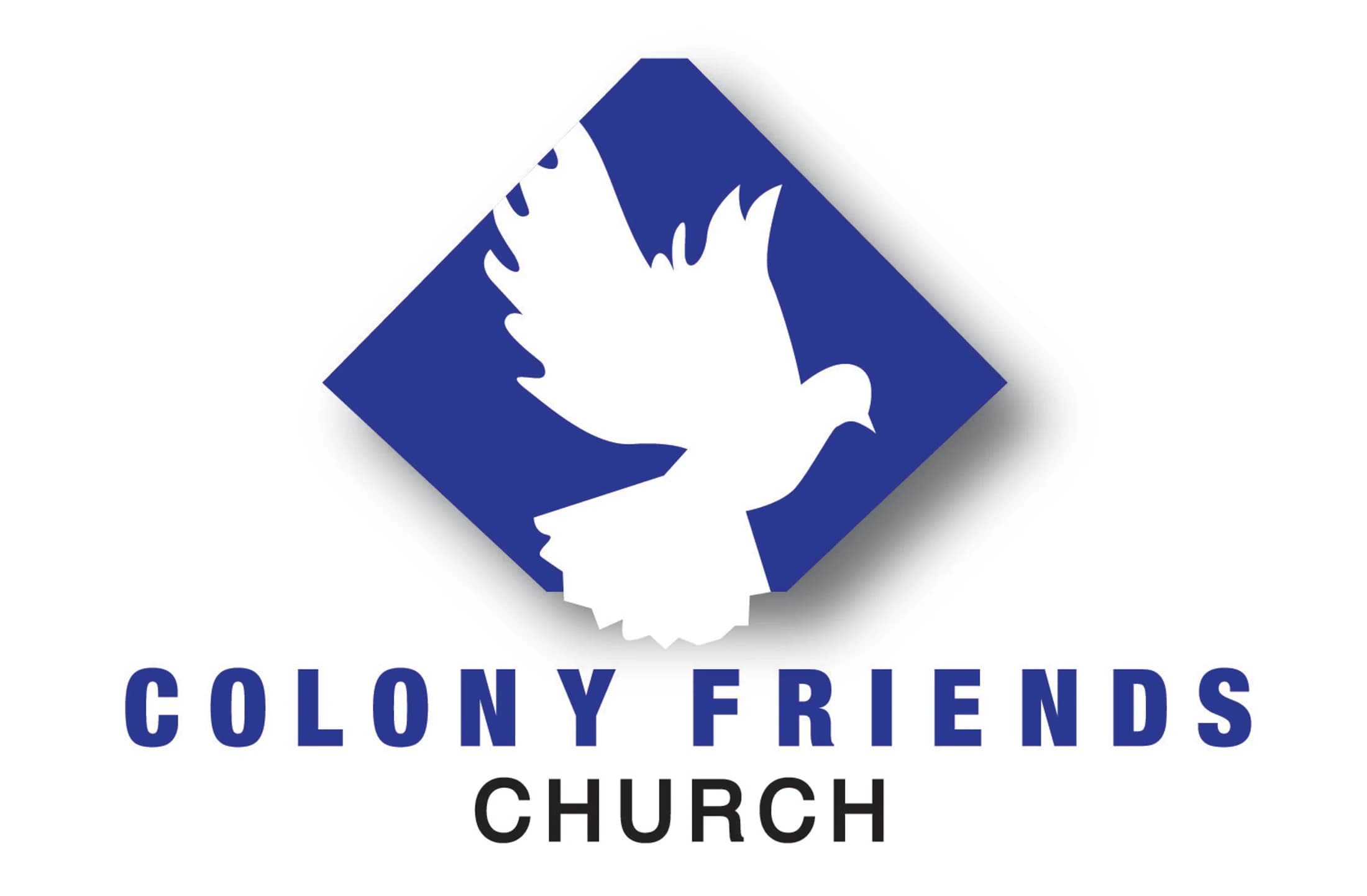 Main Logo