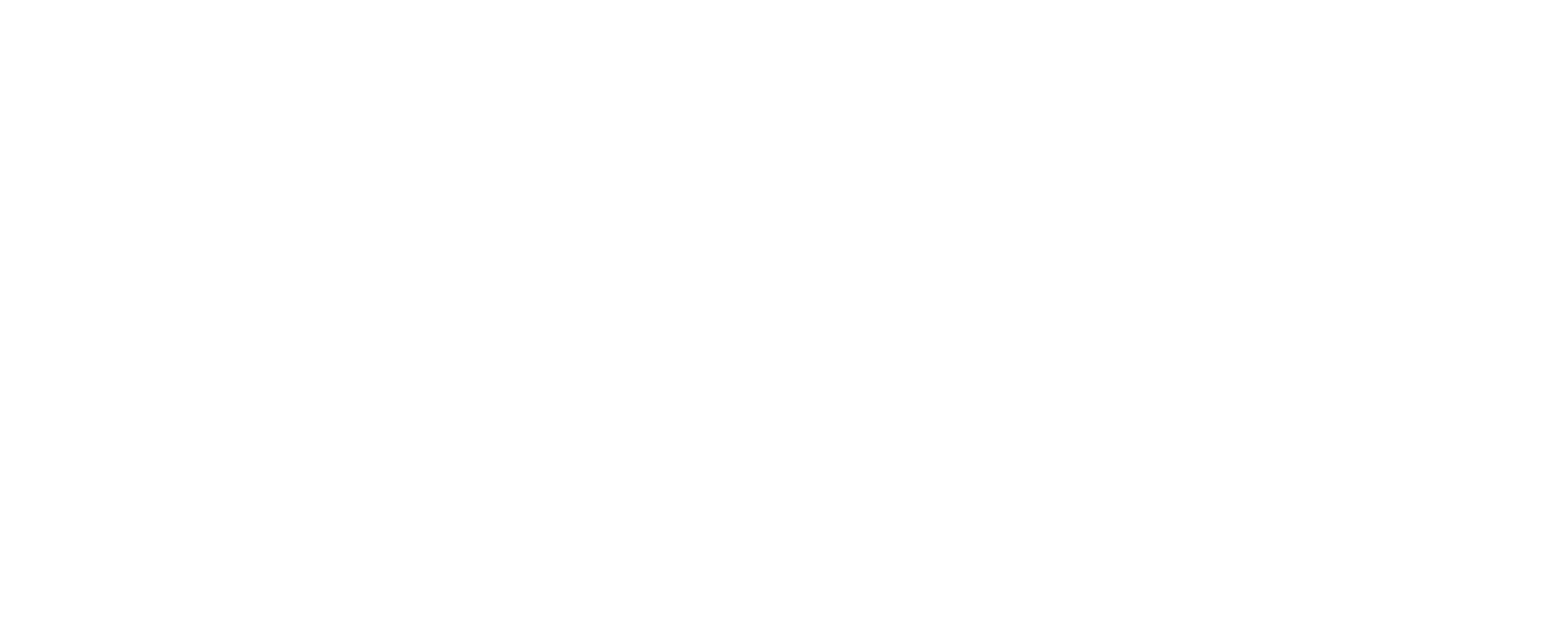 Main Logo