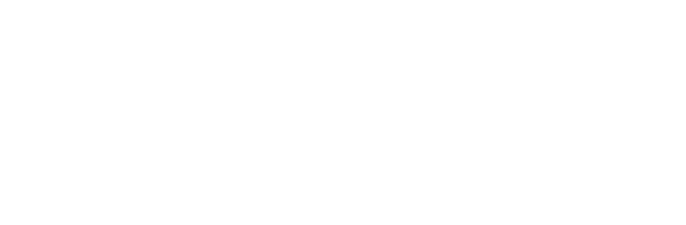 Main Logo