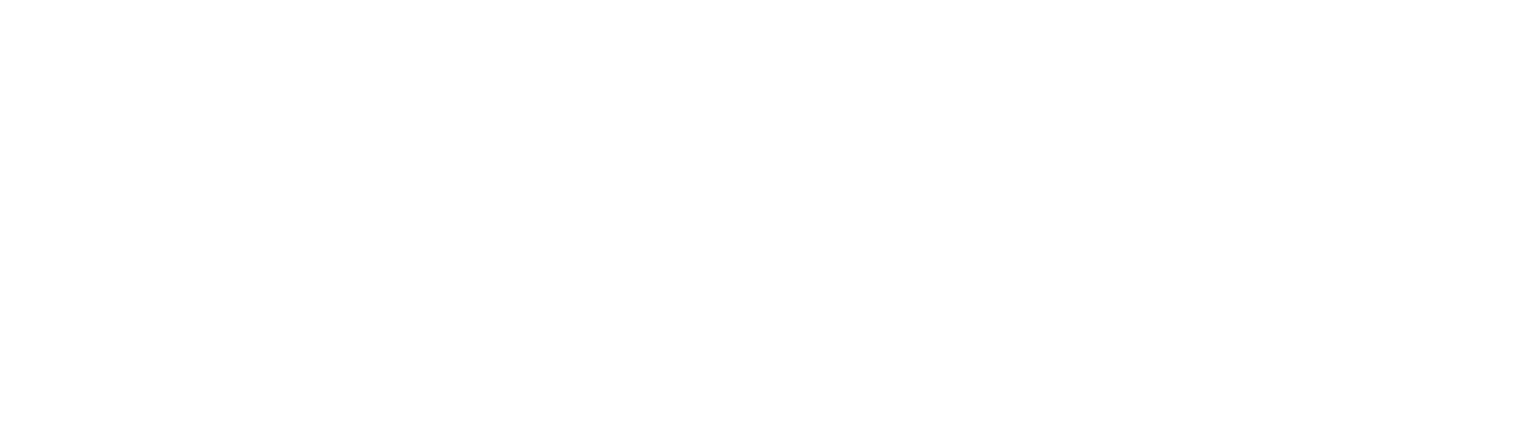Main Logo