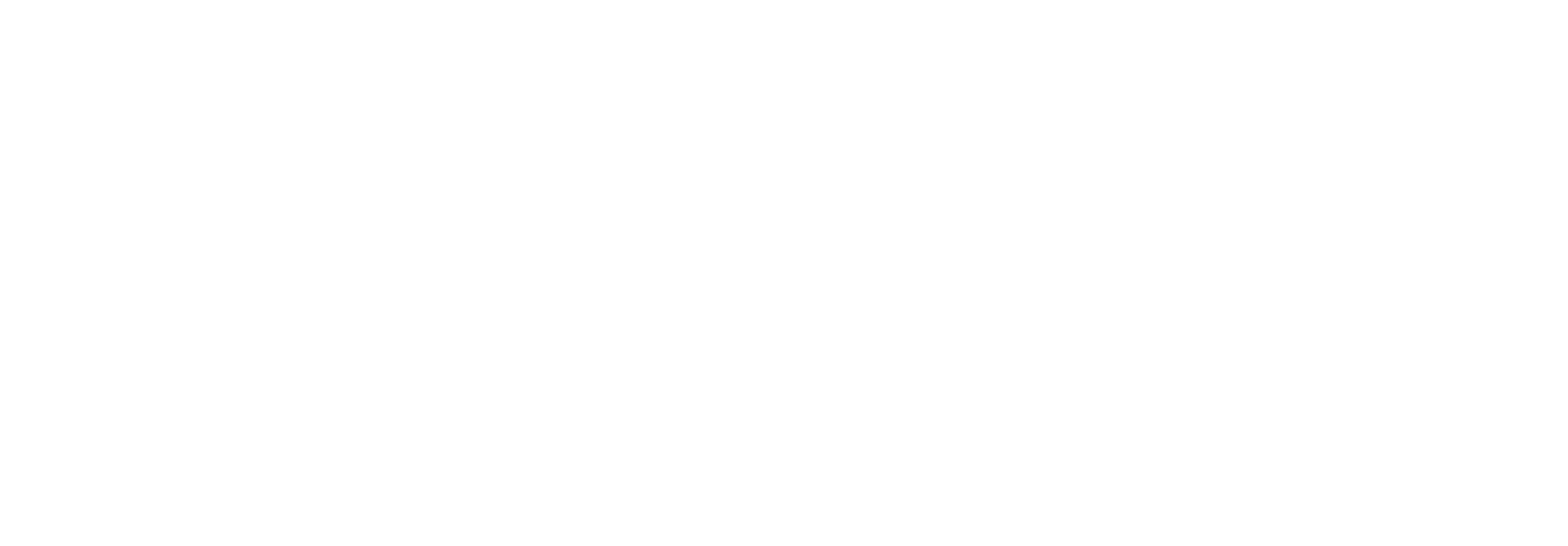 Main Logo