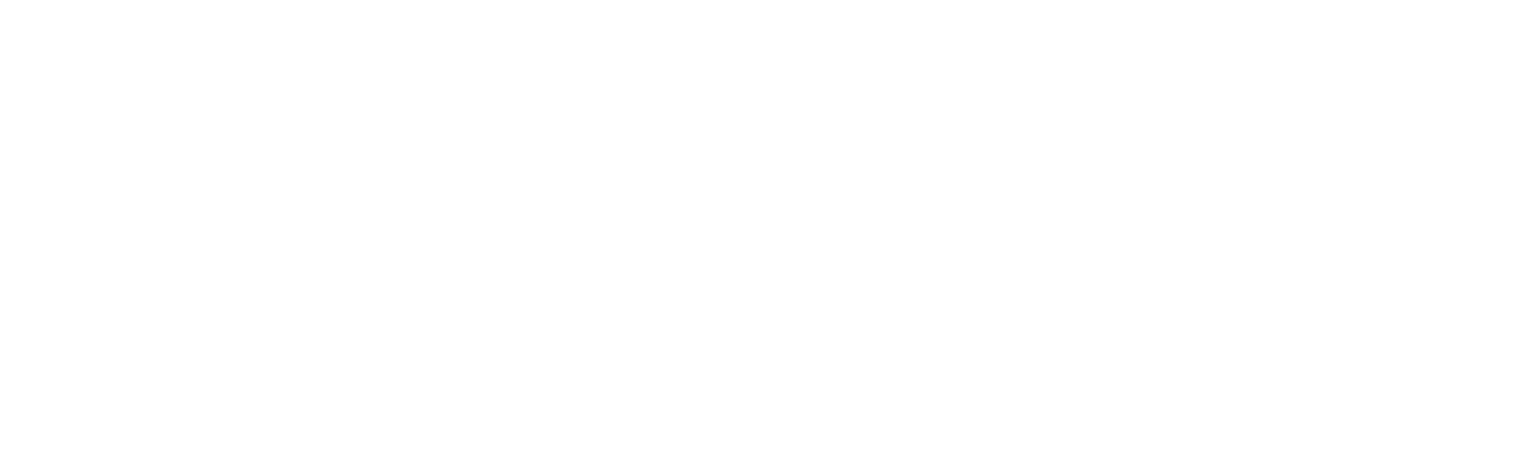 Main Logo