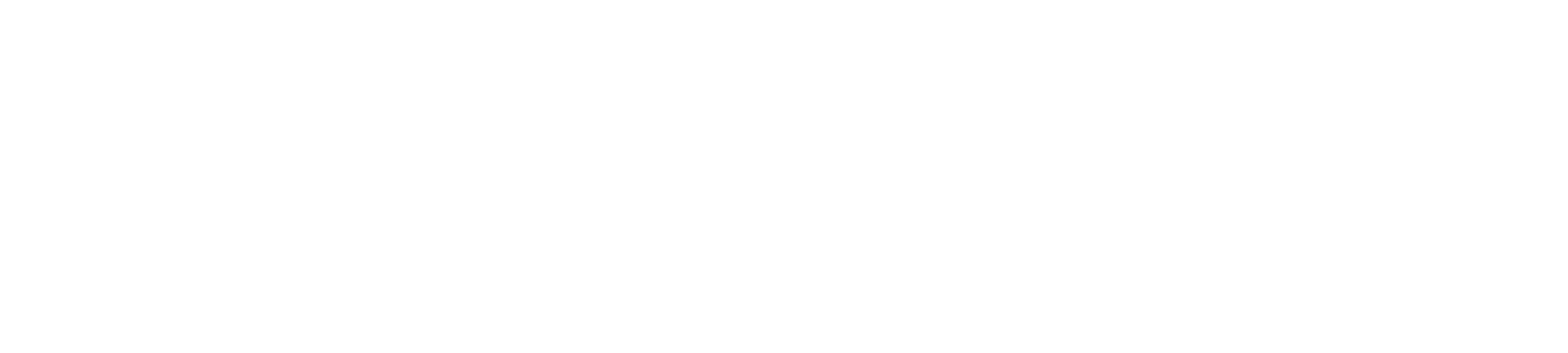 Main Logo