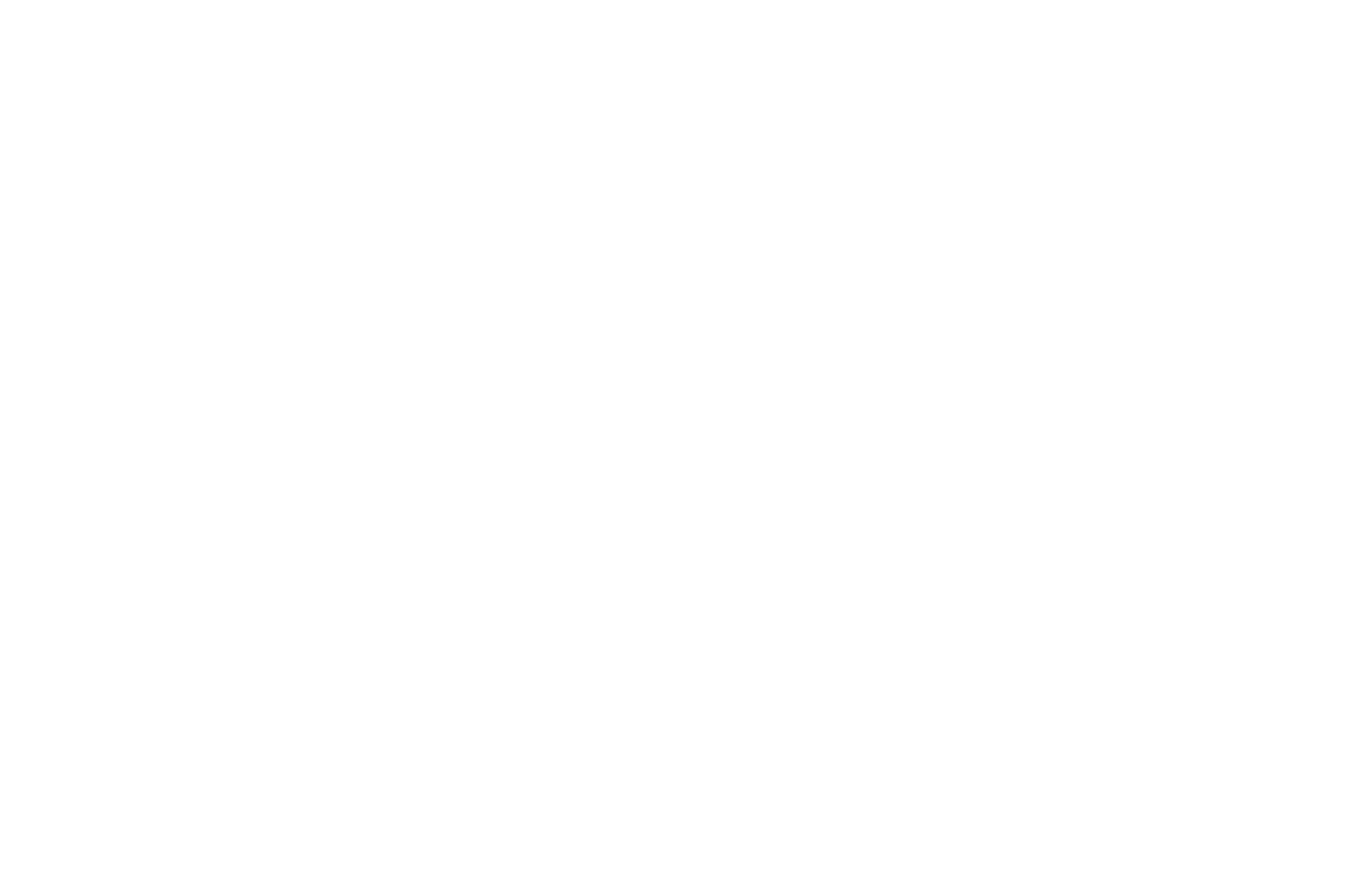 Main Logo