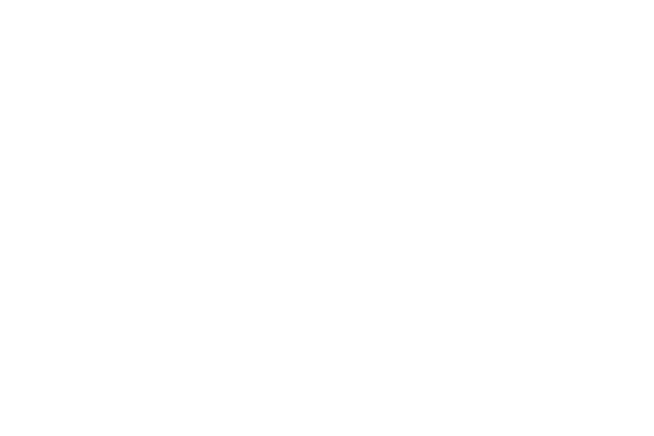Main Logo
