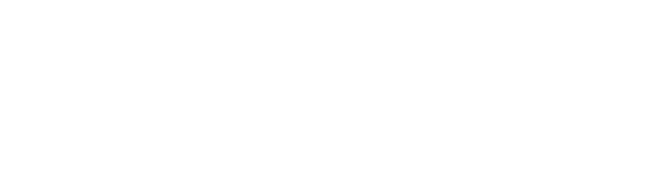 Main Logo