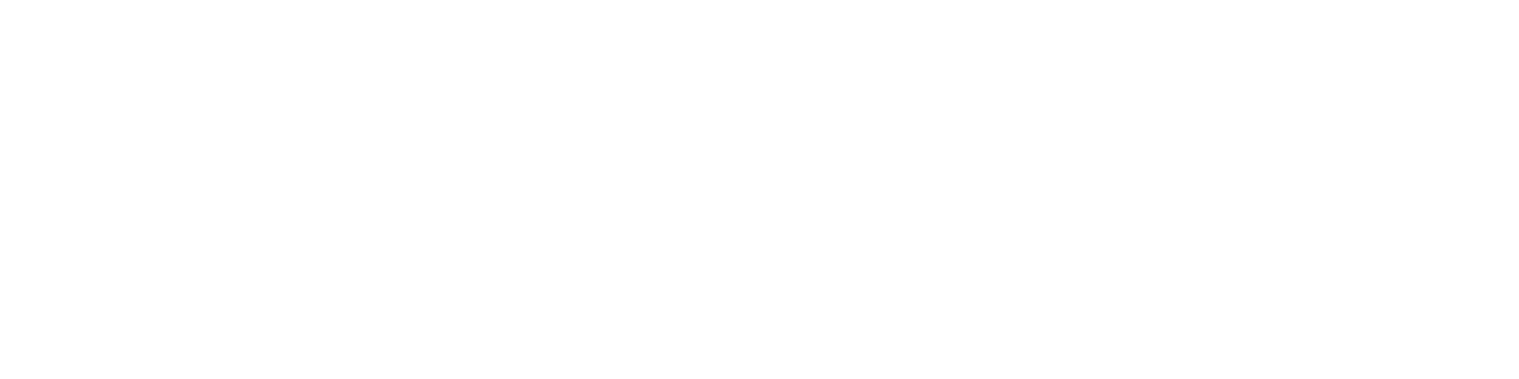 Main Logo