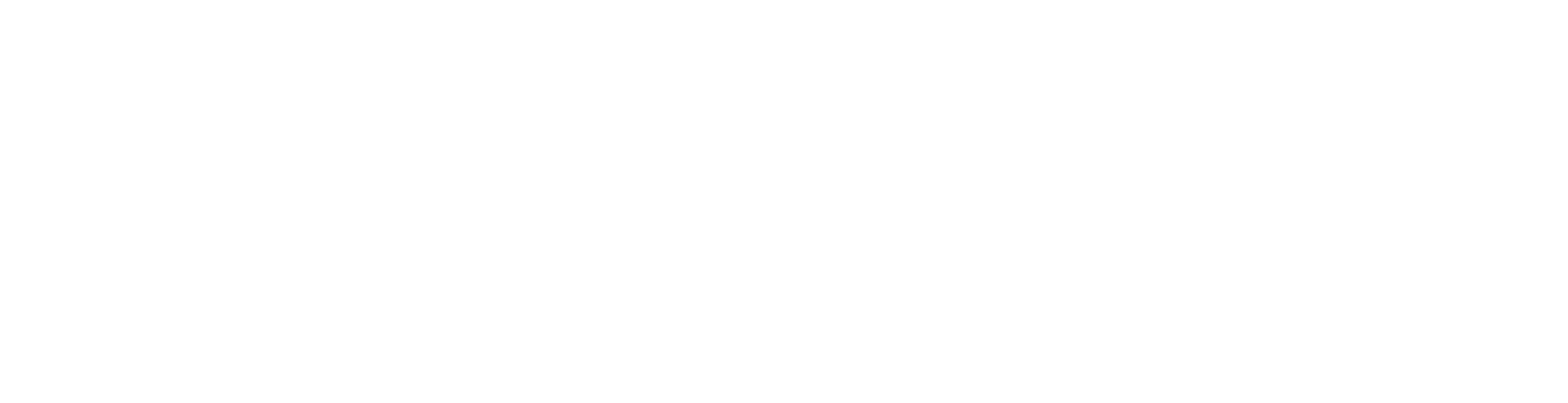 Main Logo