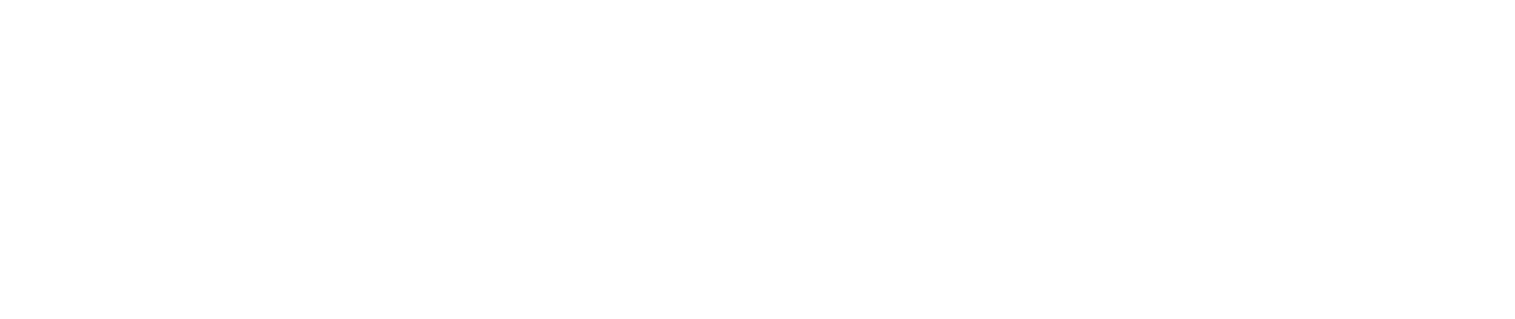 Main Logo