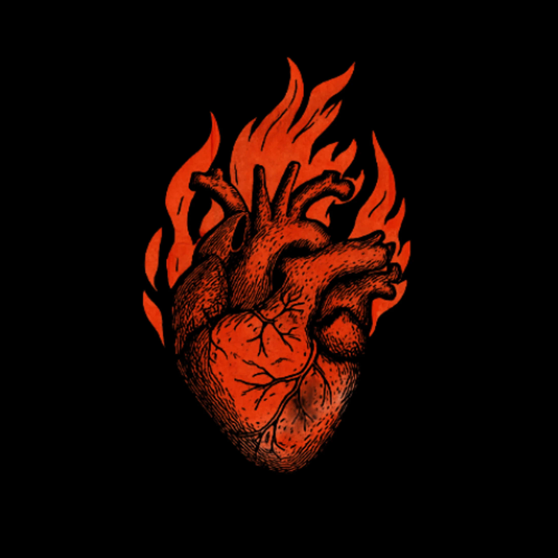 Main Logo