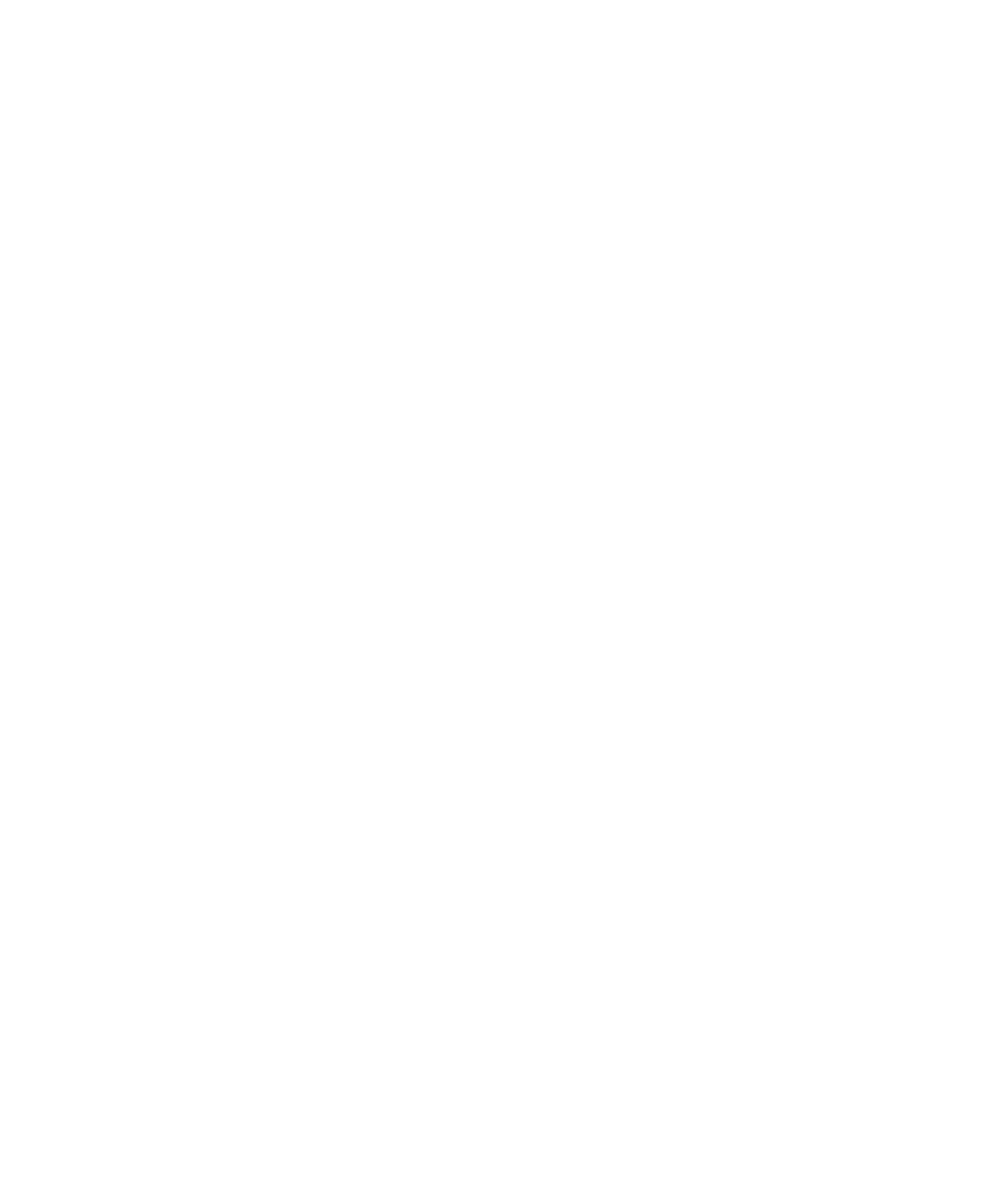 Main Logo
