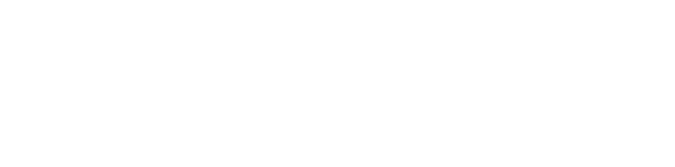 Main Logo
