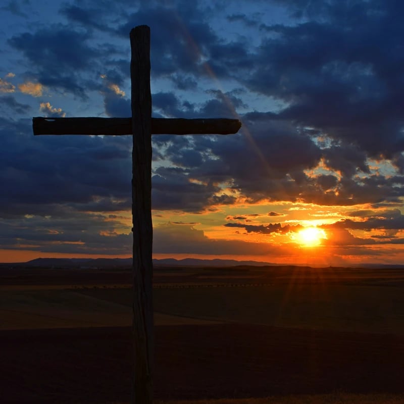 <span style="color:var(--primary-color-bg)">Our Mission</span>