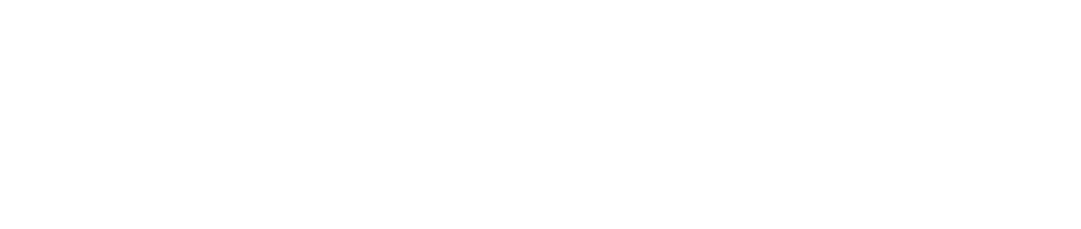 Main Logo